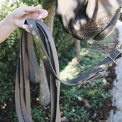 Kentucky Horsewear Catena per Stalloni Marrone