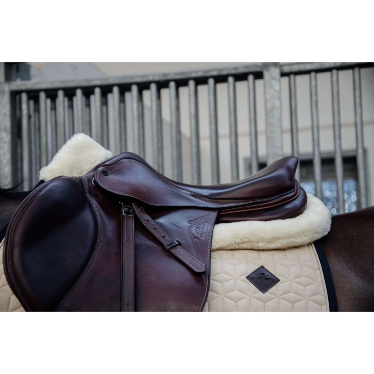 Kentucky Horsewear Sottosella Impact Equalizer Nero
