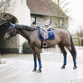 Kentucky Horsewear Sottosella Basic Velvet Dressage Navy