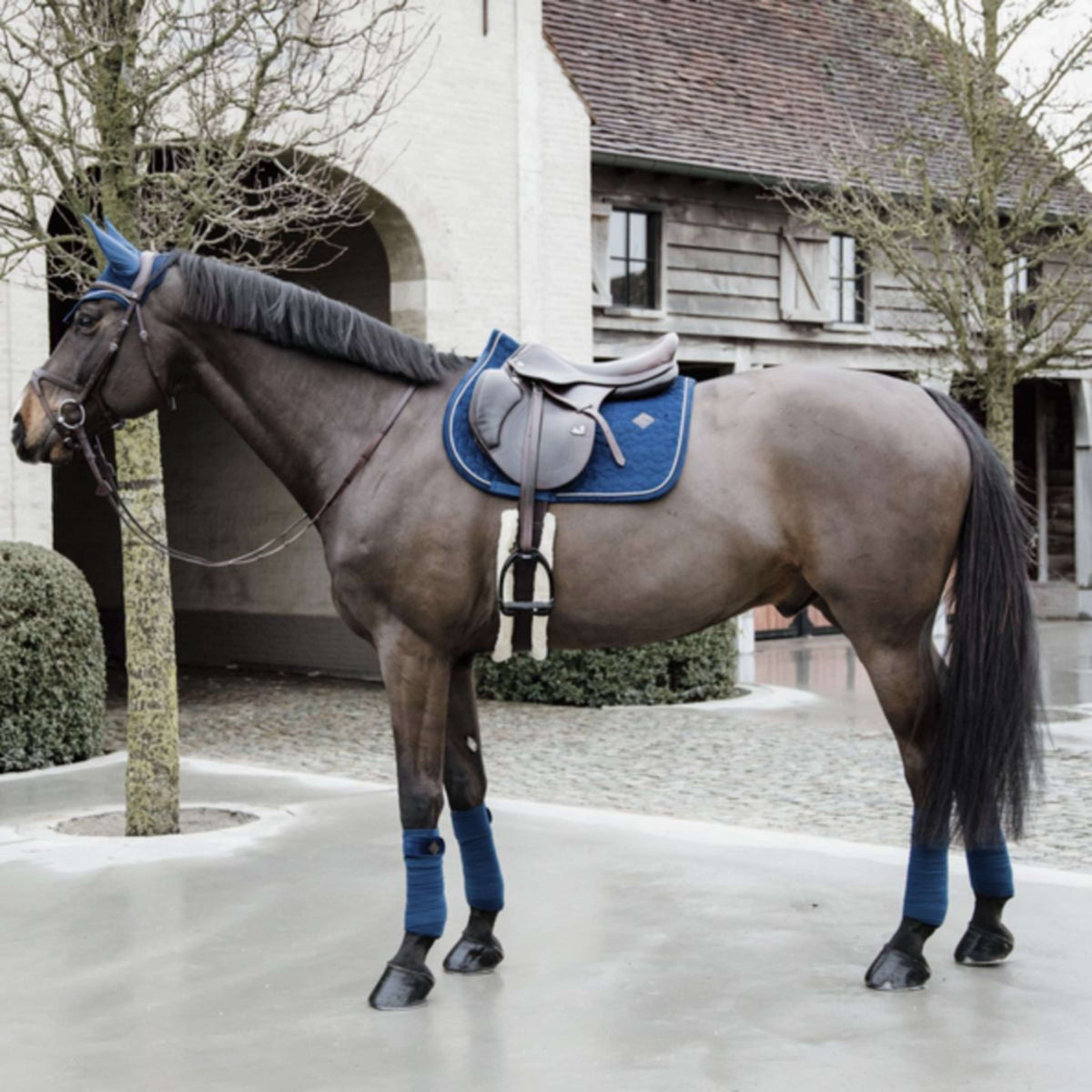 Kentucky Horsewear Sottosella Basic Velvet Springen Navy