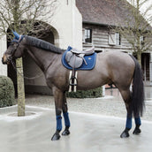 Kentucky Horsewear Sottosella Basic Velvet Springen Navy