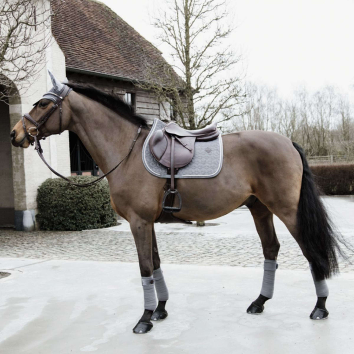 Kentucky Horsewear Sottosella Basic Velvet Springen Grigio