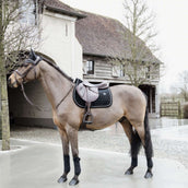 Kentucky Horsewear Cuffietta Wellington Basic Velvet Nero