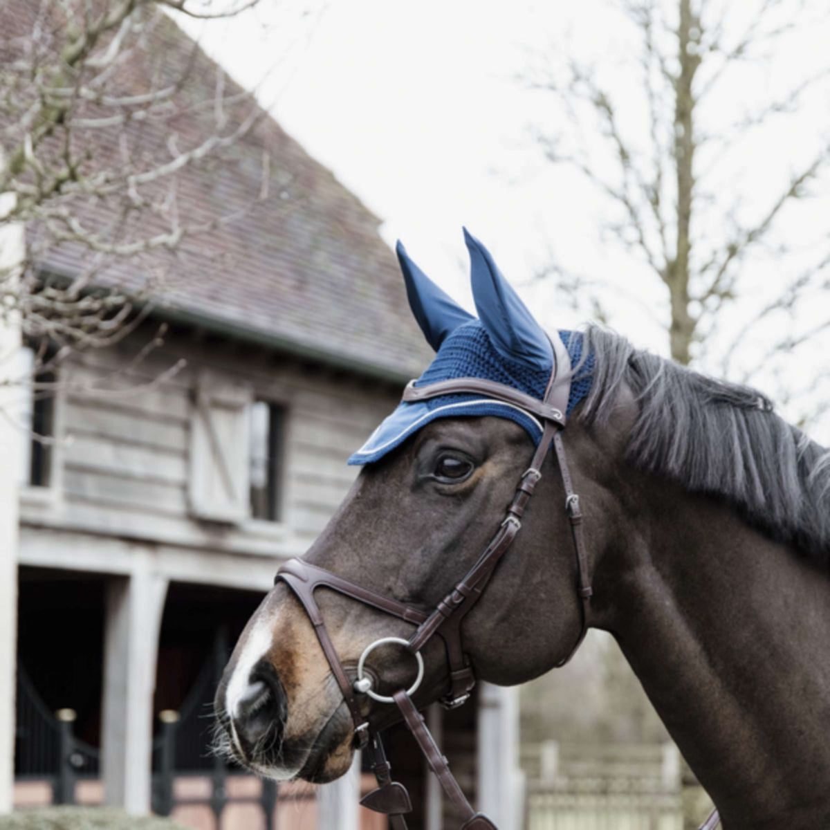 Kentucky Horsewear Cuffietta Wellington Basic Velvet Navy