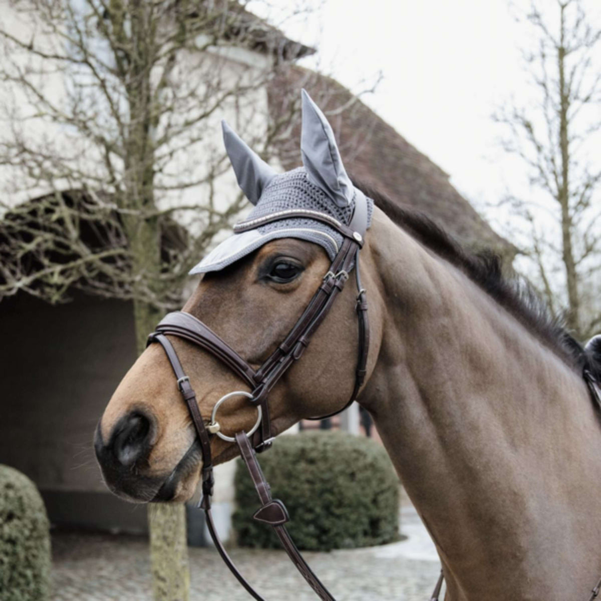 Kentucky Horsewear Cuffietta Wellington Basic Velvet Grigio