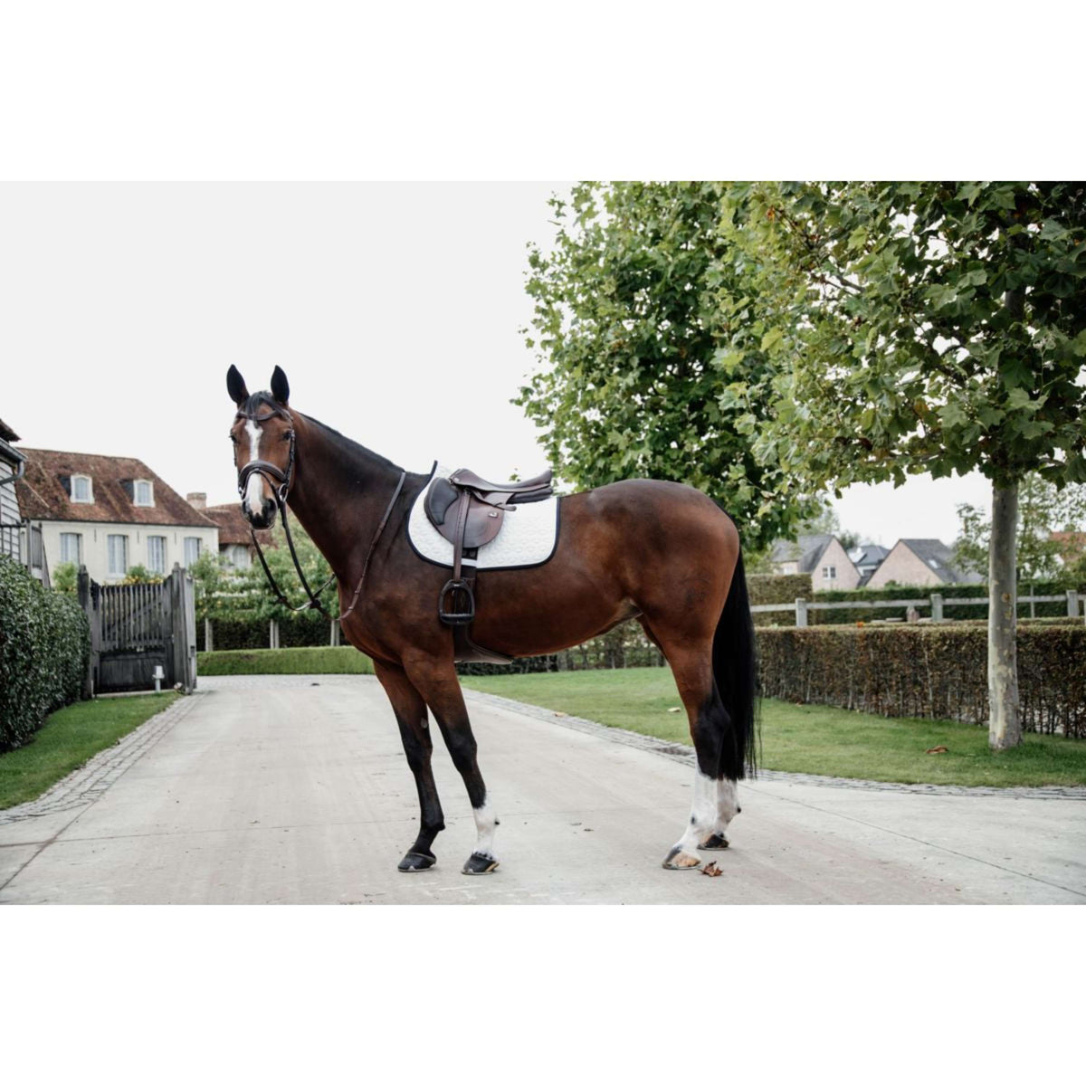 Kentucky Horsewear Sottosella Softshell Springen Bianco