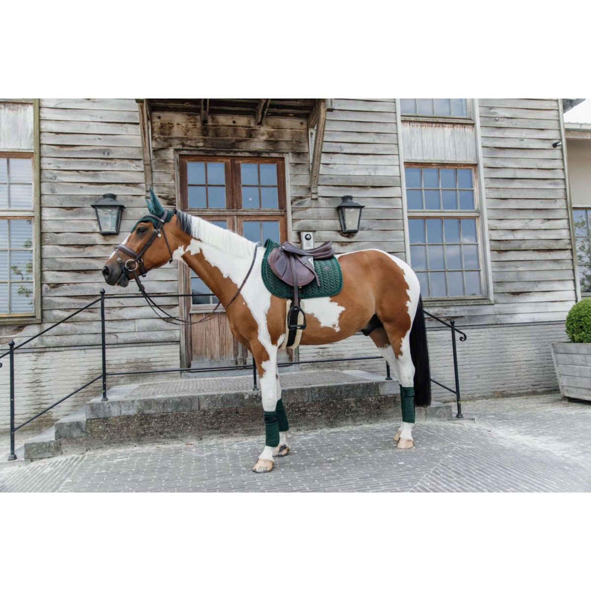 Kentucky Horsewear Sottosella Velvet Pearls Springen Pine Green