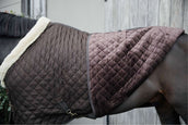 Kentucky Horsewear Coperta da esposizione 160g Marrone