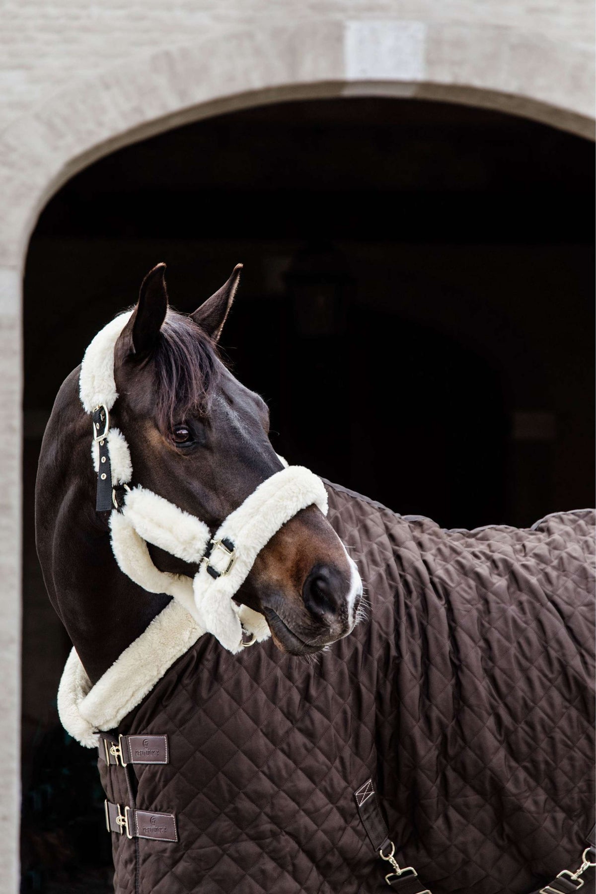 Kentucky Horsewear Coperta da esposizione 160g Marrone