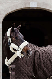 Kentucky Horsewear Coperta da esposizione 160g Marrone
