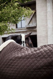 Kentucky Horsewear Coperta da esposizione 160g Marrone