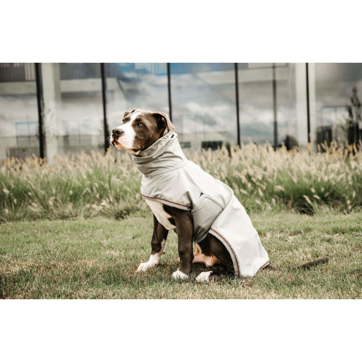Kentucky Dogwear Impermeabile Blu polveroso