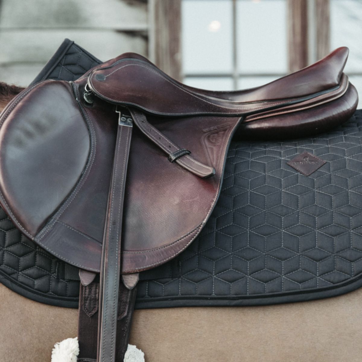 Kentucky Horsewear Sottosella Basic Springen Grigio
