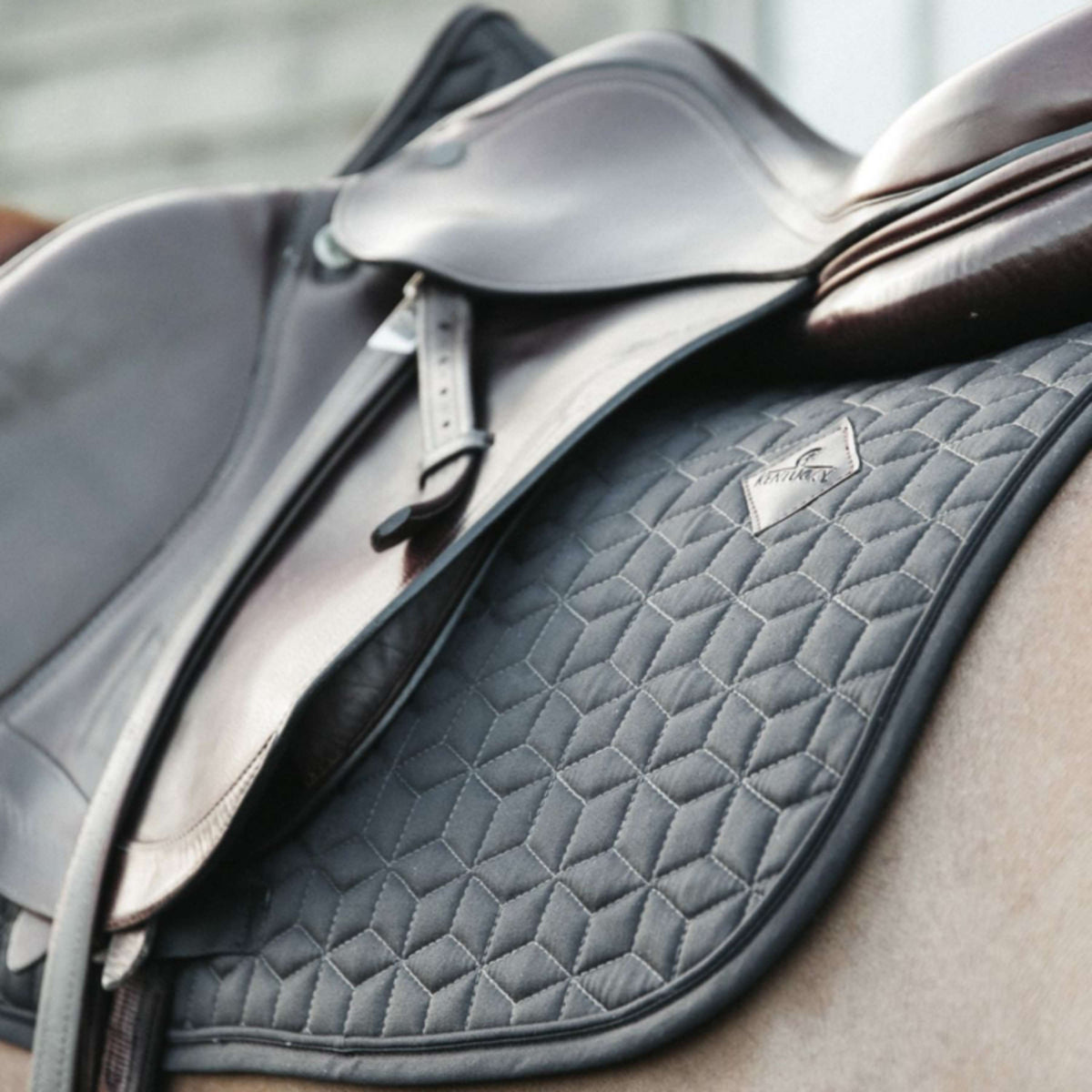 Kentucky Horsewear Sottosella Basic Springen Grigio