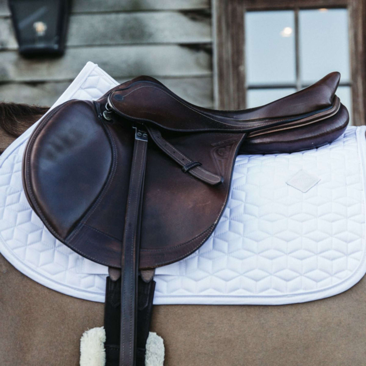 Kentucky Horsewear Sottosella Basic Springen Bianco