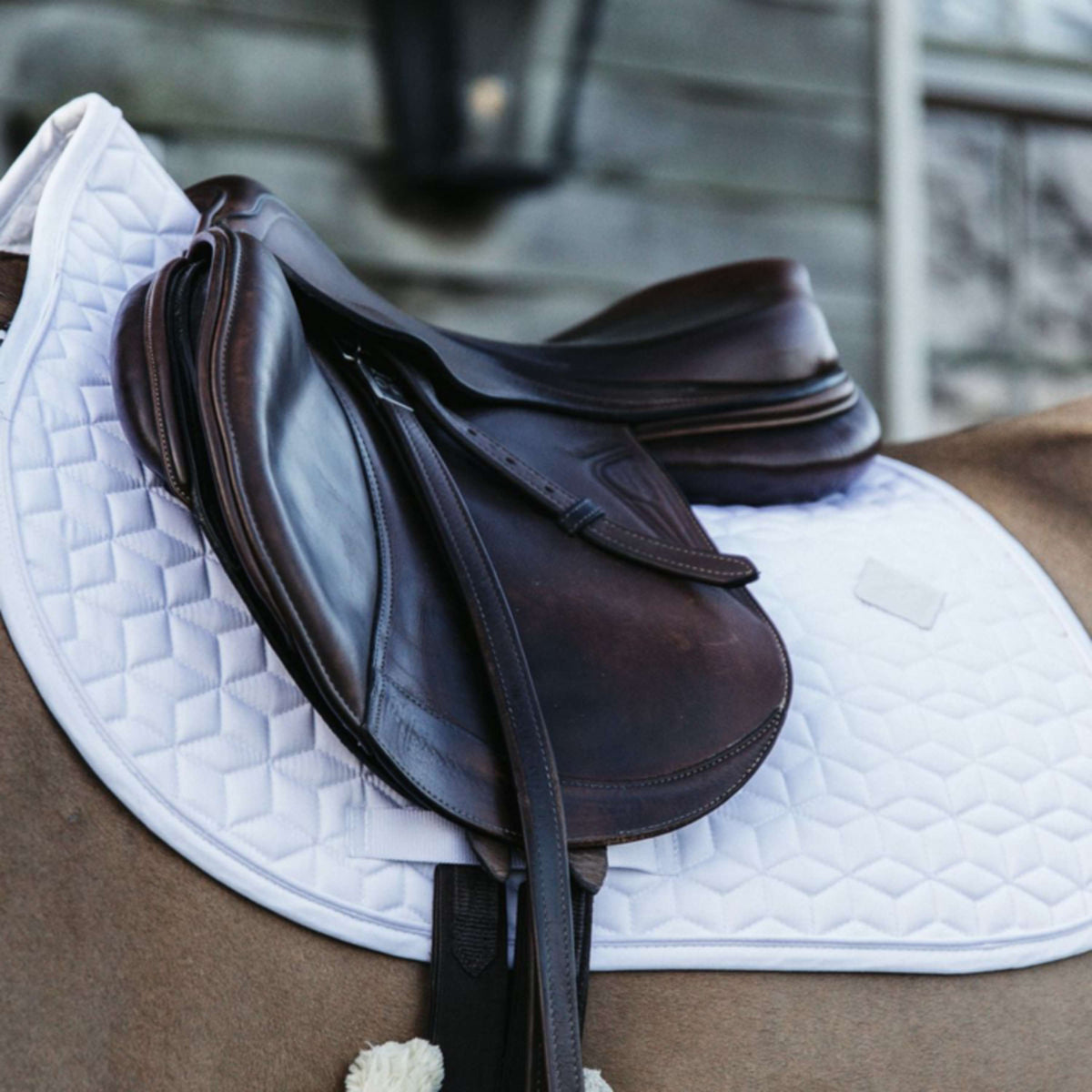 Kentucky Horsewear Sottosella Basic Springen Bianco