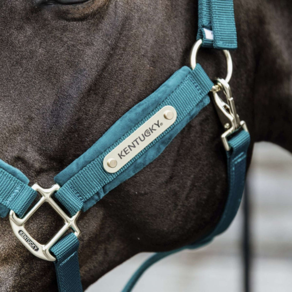 Kentucky Horsewear Cavezza Velvet Smeraldo