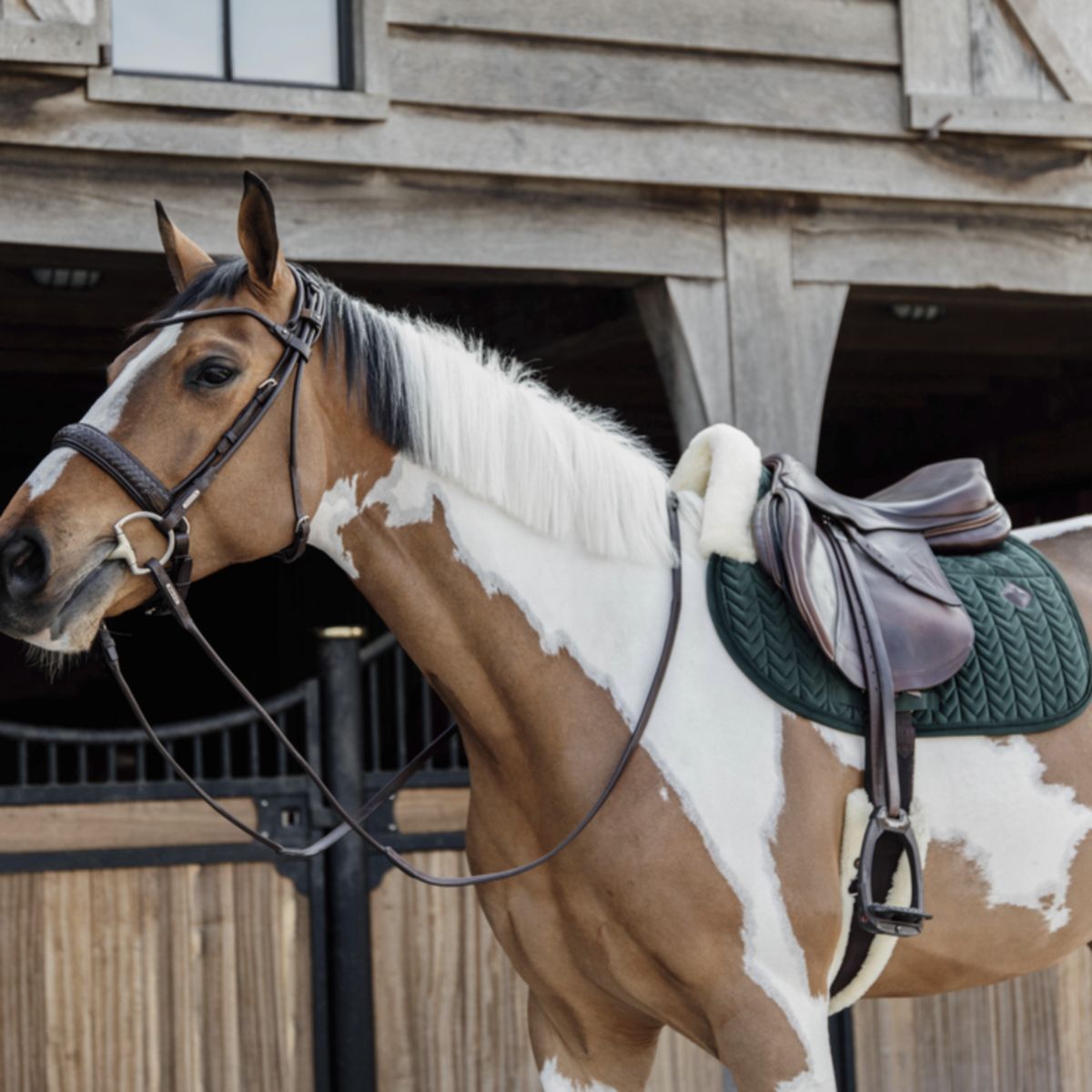 Kentucky Horsewear Sottosella Skin Friendly Velvet Springen Pine Green