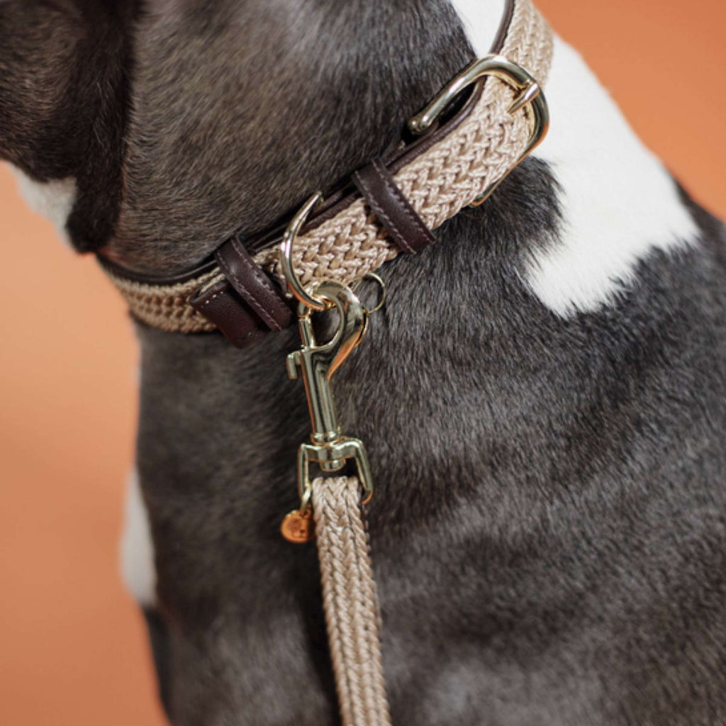 Kentucky Horsewear Collare Beige