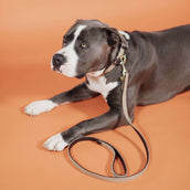 Kentucky Horsewear Collare Beige