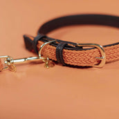 Kentucky Horsewear Halsband Nylon intrecciato per cani Arancia