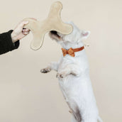Kentucky Dogwear Giocattolo per Cane Bone Pastel