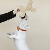 Kentucky Dogwear Giocattolo per Cane Bone Pastel