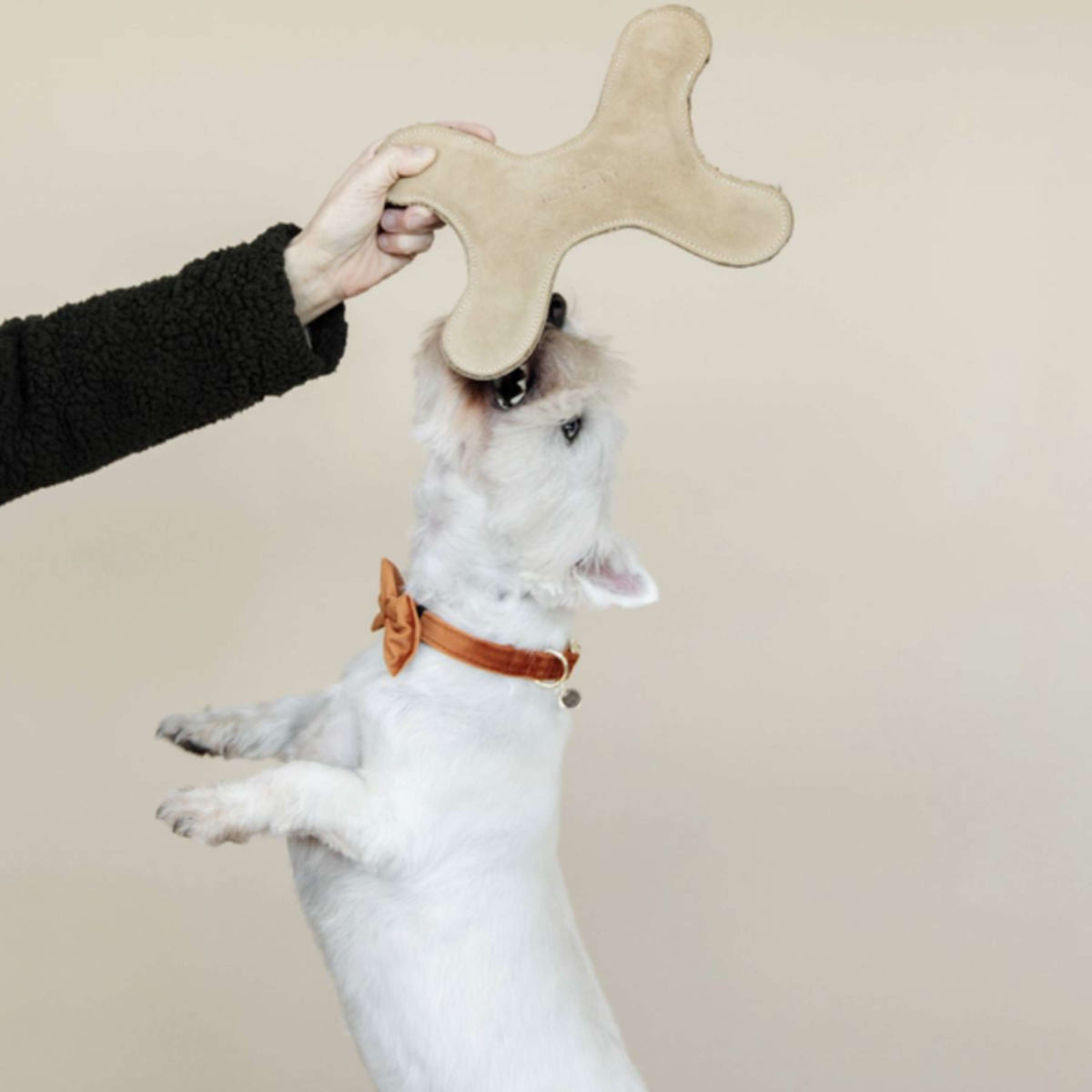 Kentucky Dogwear Giocattolo per Cane Bone Pastel