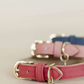 Kentucky Dogwear Collare per Cane Soft Vegan Leather Rosso/Beige