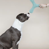 Kentucky Dogwear Giocattolo per Cane Boomerang Pastel
