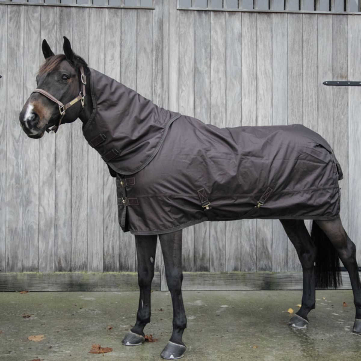 Kentucky Horsewear Turnout All Weather 160g Marrone