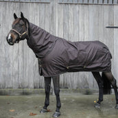 Kentucky Horsewear Turnout All Weather 160g Marrone
