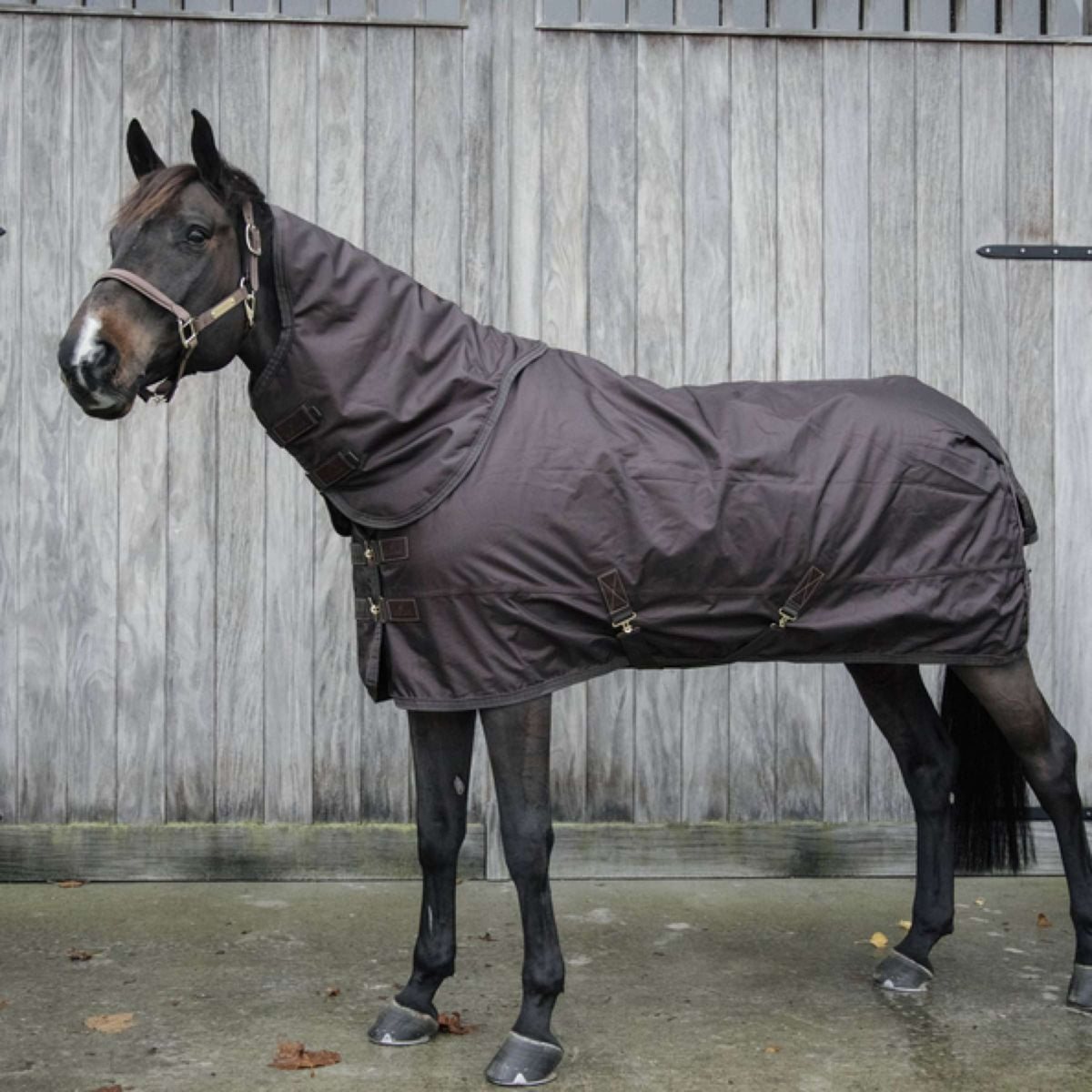 Kentucky Horsewear Turnout All Weather 160g Marrone