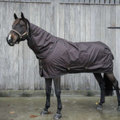 Kentucky Horsewear Turnout All Weather 160g Marrone