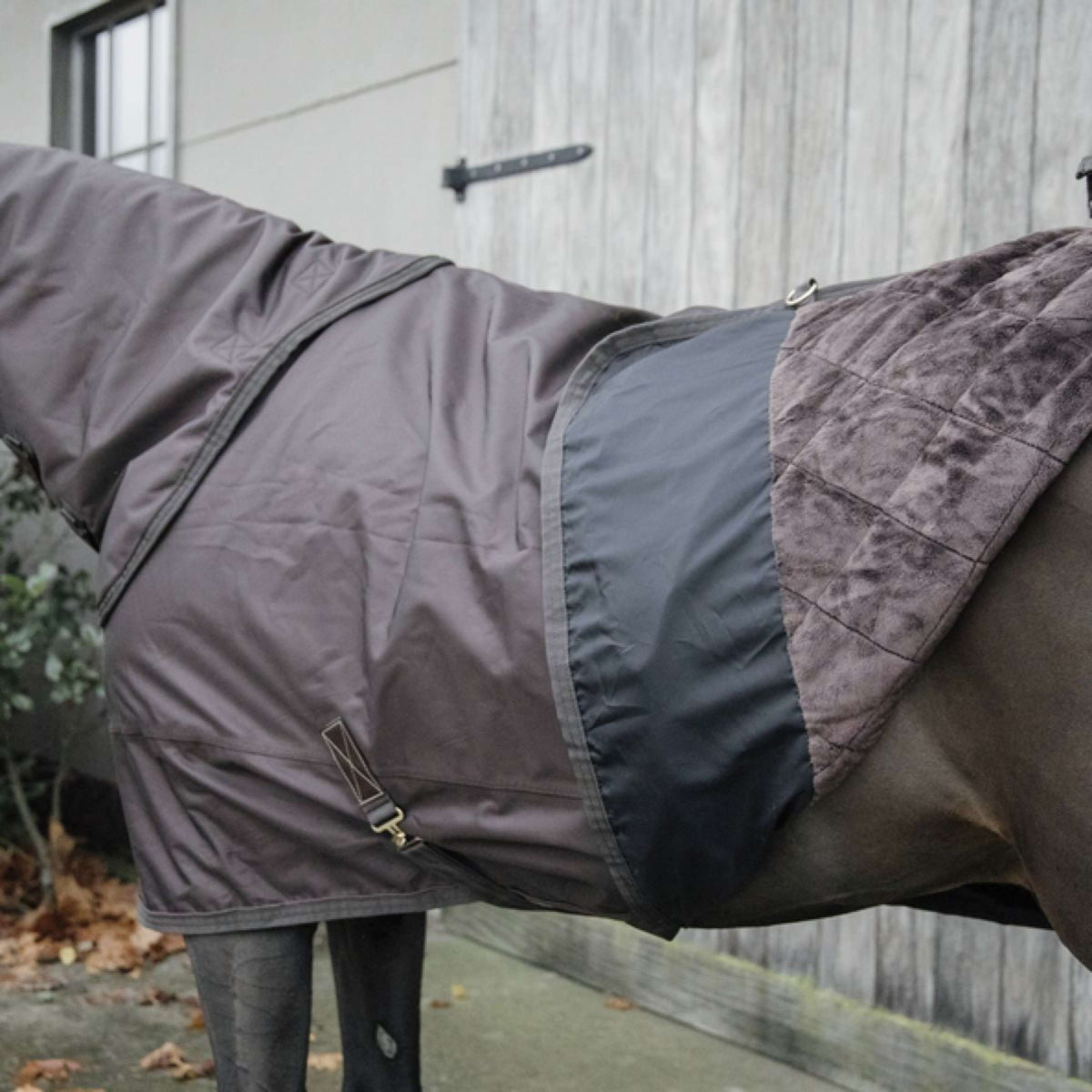 Kentucky Horsewear Turnout All Weather 160g Marrone