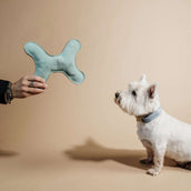 Kentucky Dogwear Giocattolo per Cane Bone Pastel Smeraldo