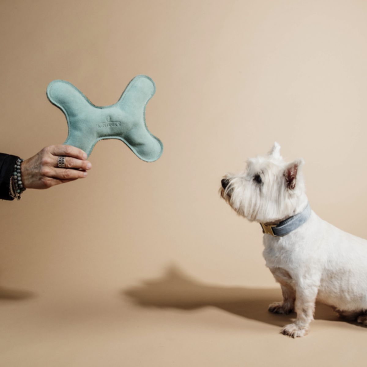 Kentucky Dogwear Giocattolo per Cane Bone Pastel Smeraldo