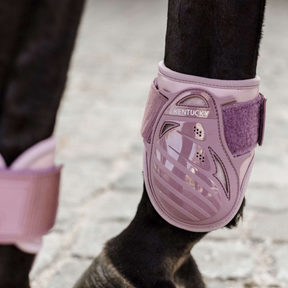 Kentucky Horsewear Stinchiere Young Horse Old Rose