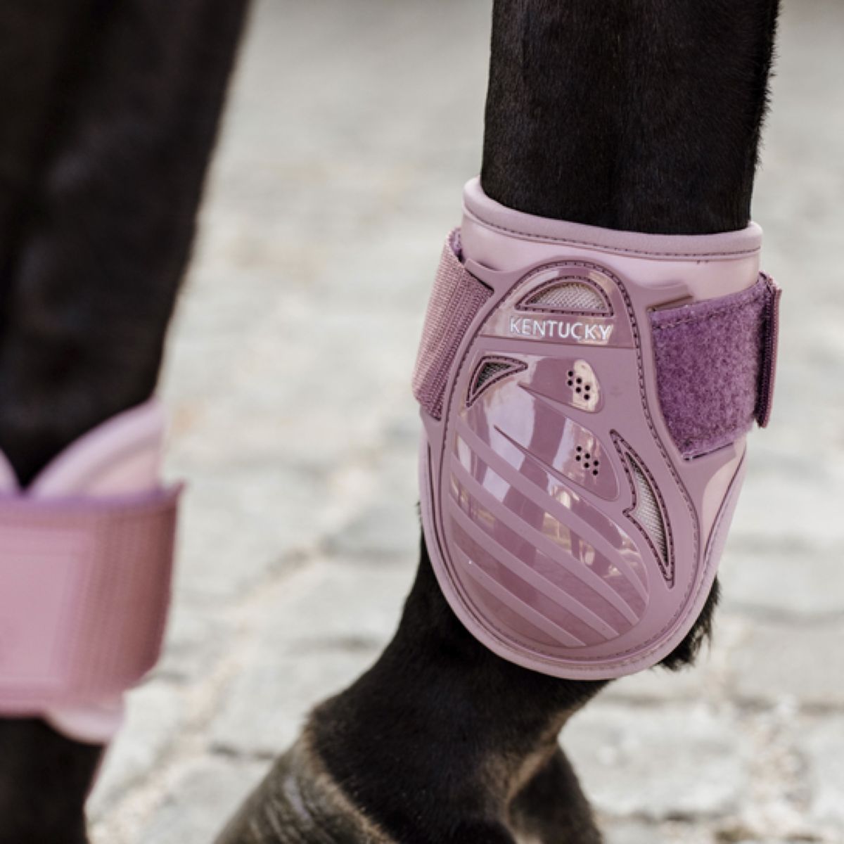 Kentucky Horsewear Stinchiere Young Horse Old Rose