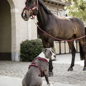 Kentucky Horsewear Corda per cavezza Basic Bordeaux
