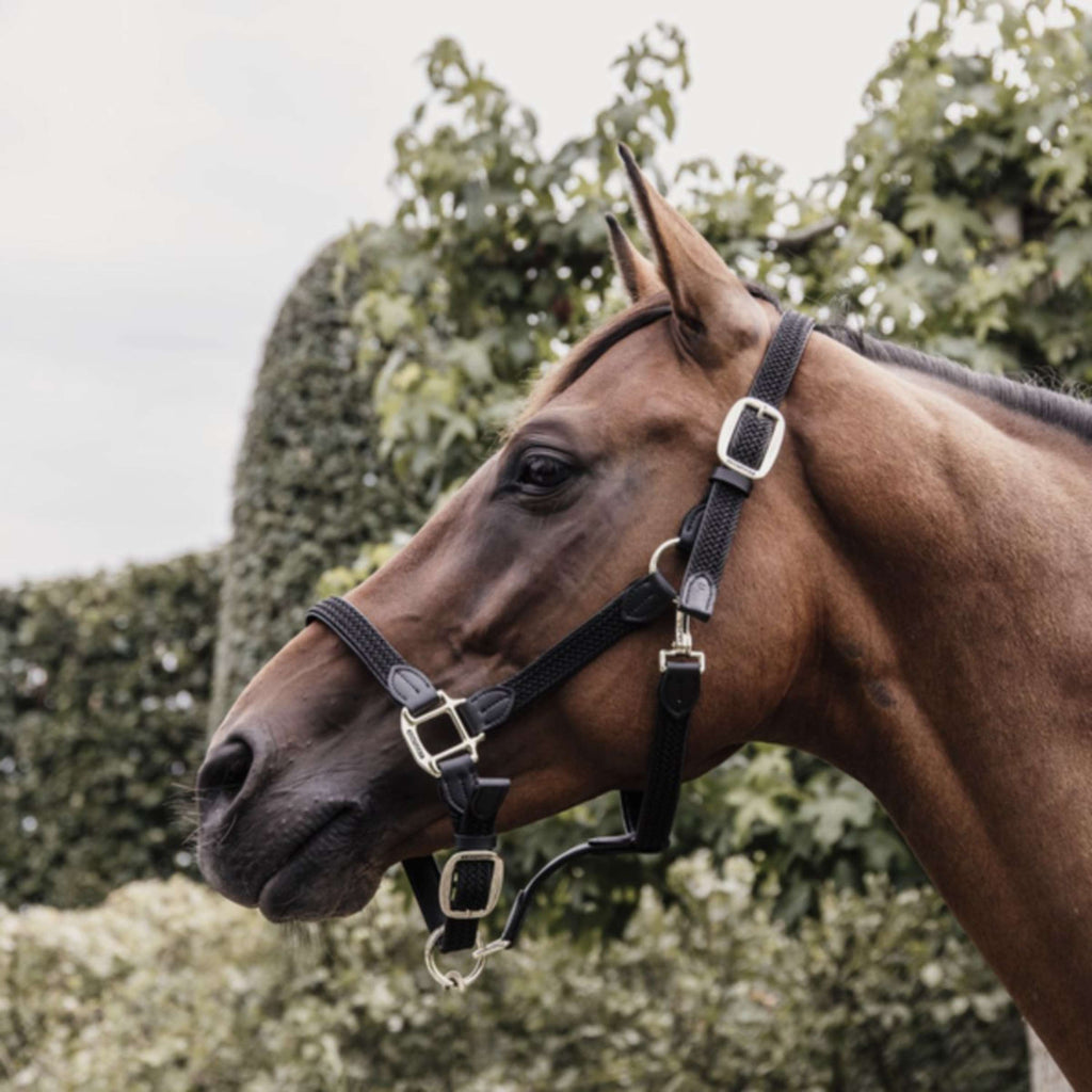 Kentucky Horsewear Cavezza Nylon intrecciato Nero