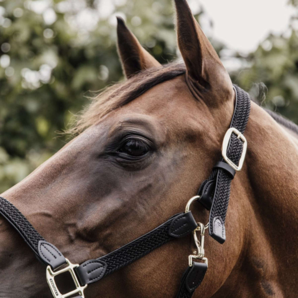 Kentucky Horsewear Cavezza Nylon intrecciato Nero