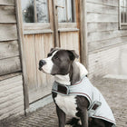 Kentucky Dogwear Cappotto per Cane Waterproof 160 g Dusty Blue