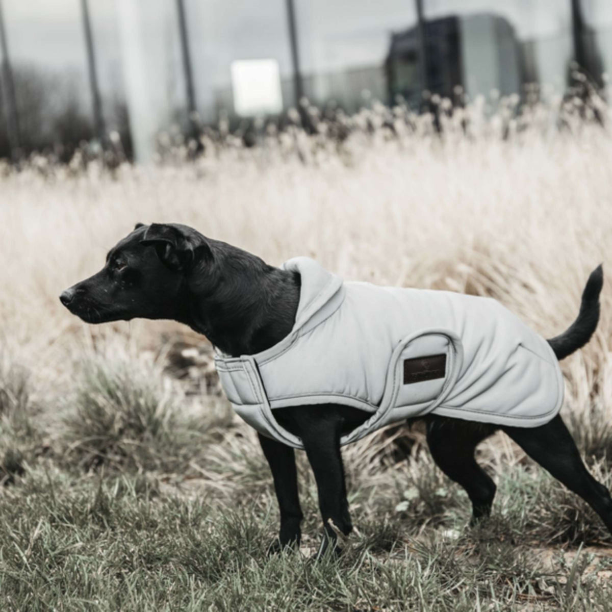 Kentucky Dogwear Cappotto per Cane Reflective & Water Repellent Belly Cover Argento