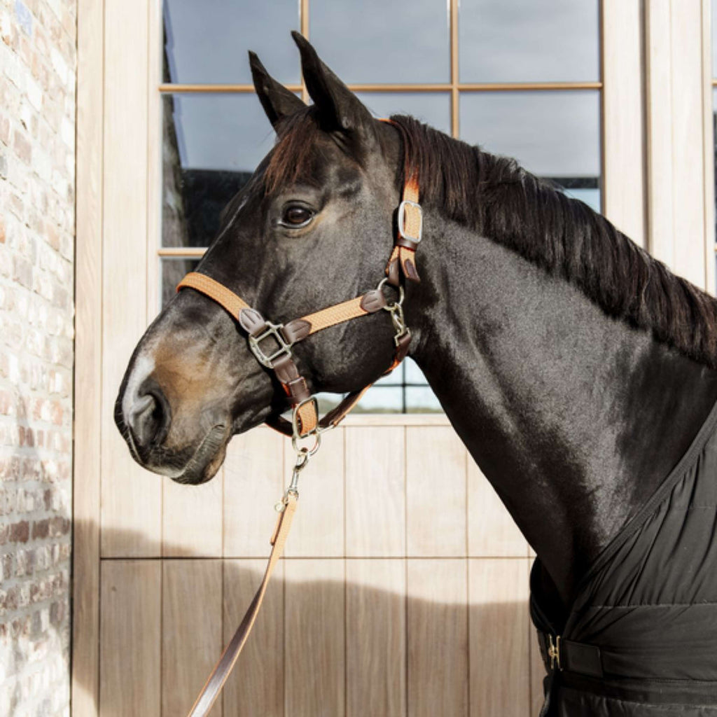 Kentucky Horsewear Cavezza Nylon intrecciato Arancia
