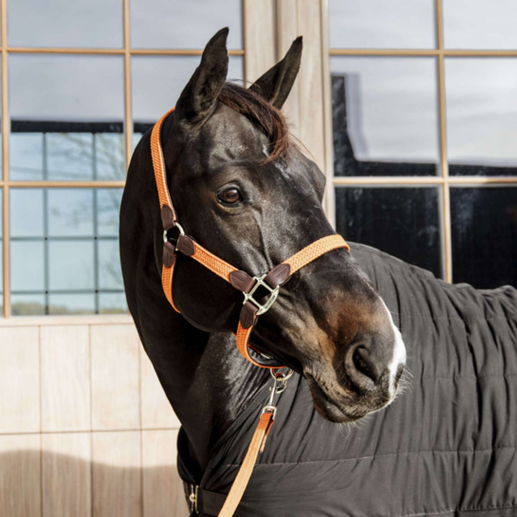 Kentucky Horsewear Cavezza Nylon intrecciato Arancia
