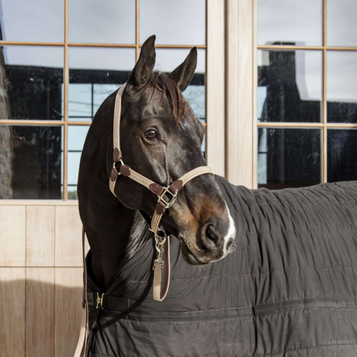 Kentucky Horsewear Capezzina Beige