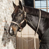 Kentucky Horsewear Capezzina Beige