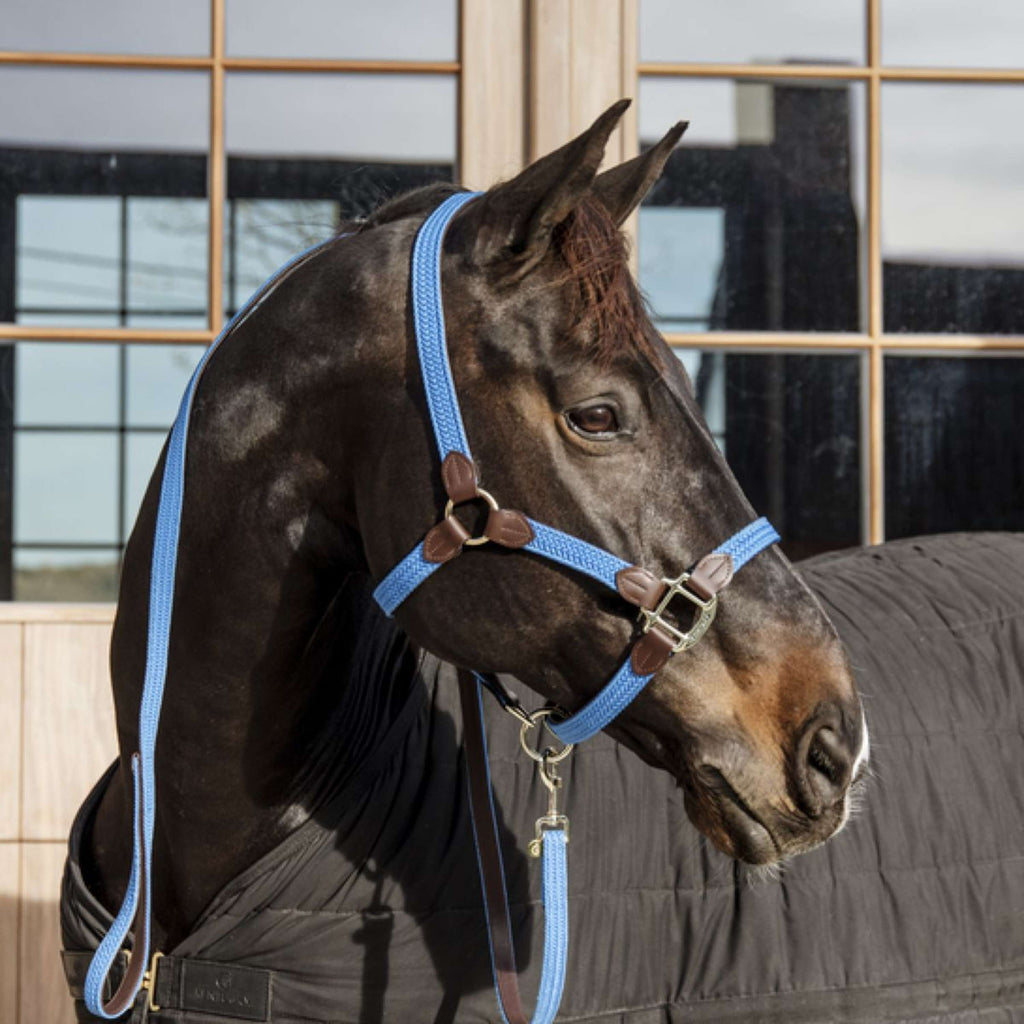 Kentucky Horsewear Cavezza Nylon intrecciato Azzurro