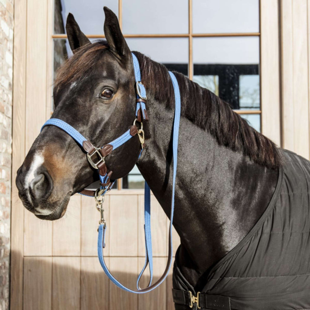Kentucky Horsewear Cavezza Nylon intrecciato Azzurro